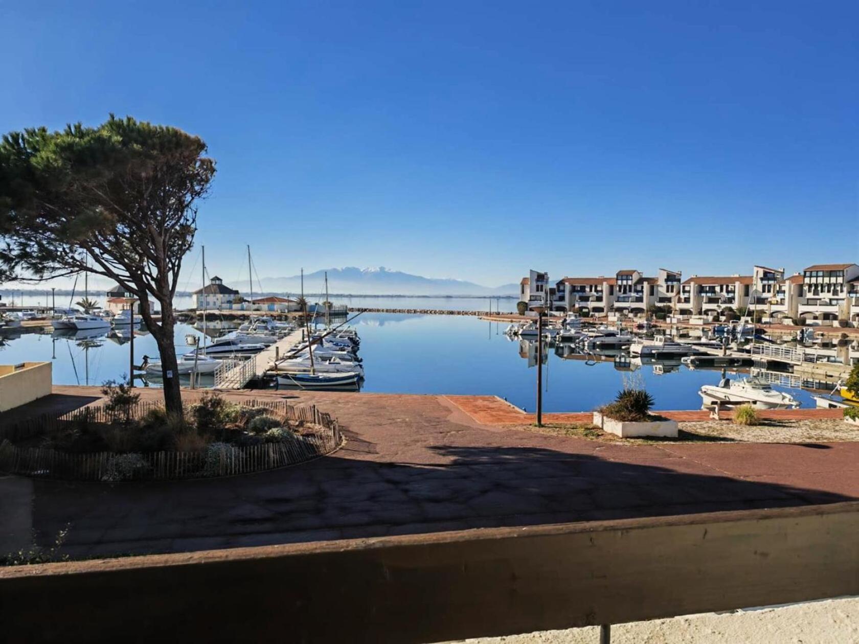 Апартаменты Residence Palmyra - Appartement 2 Pieces Les Pieds Dans L'Eau Mae-2401 *